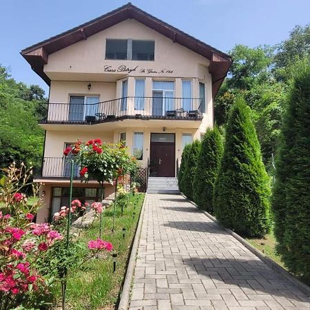 Casa Patryk Hotel Orsova Luaran gambar