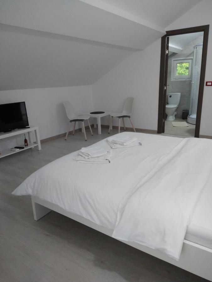 Casa Patryk Hotel Orsova Luaran gambar