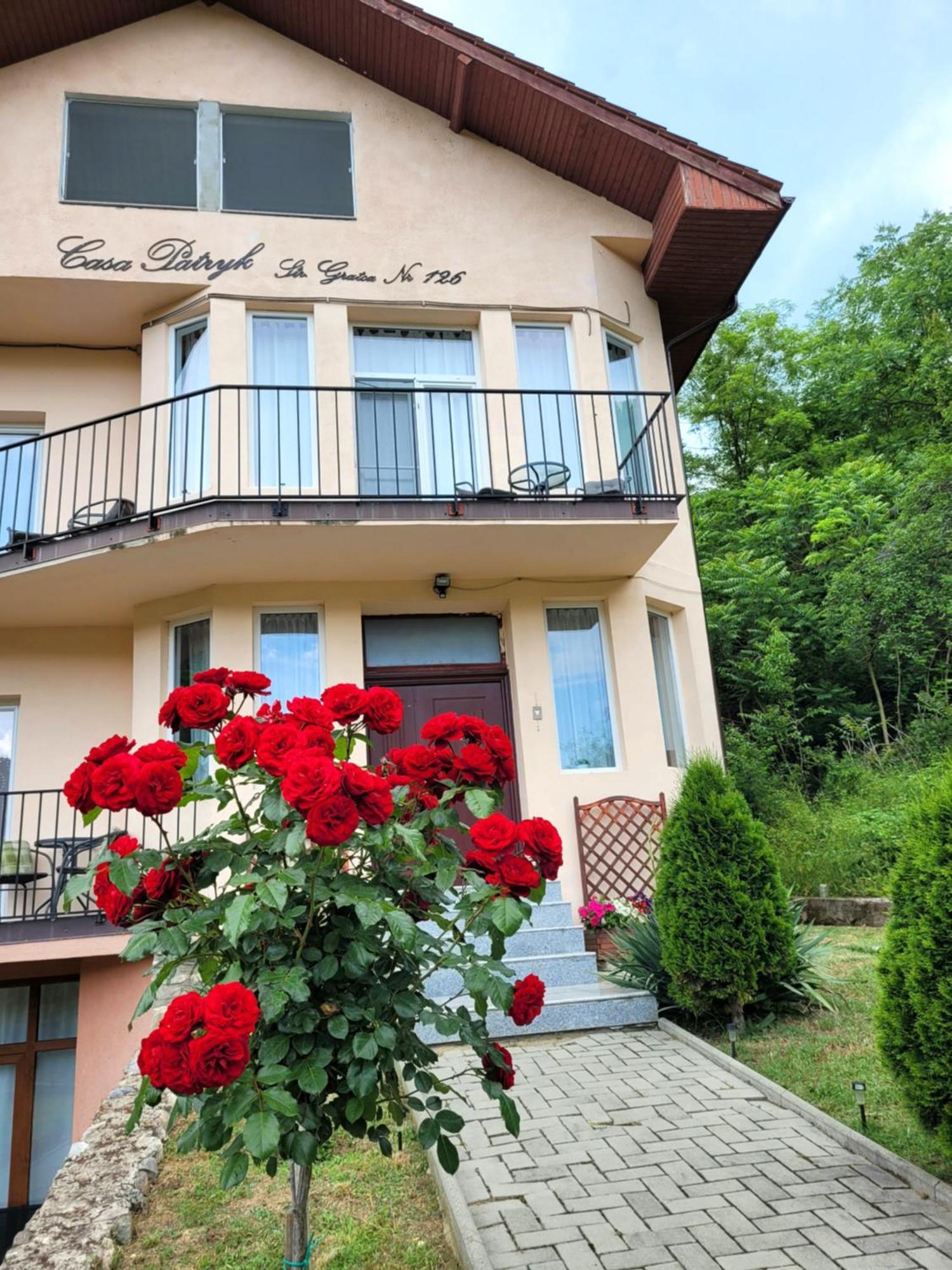 Casa Patryk Hotel Orsova Luaran gambar