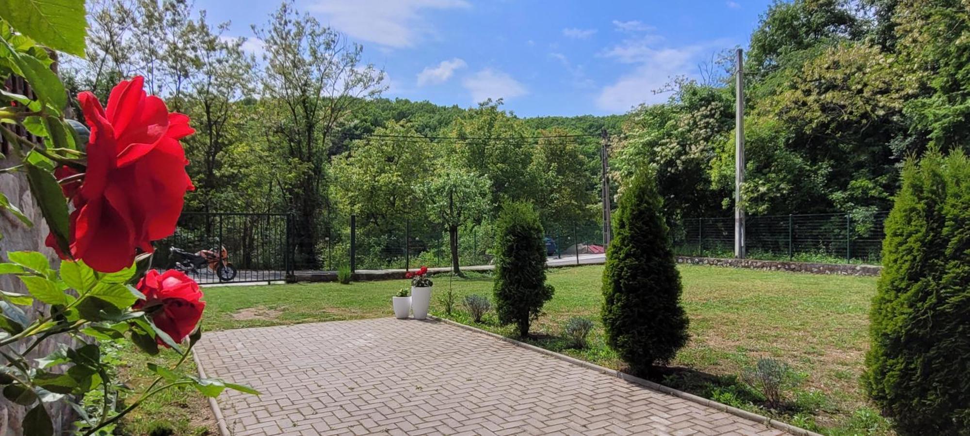 Casa Patryk Hotel Orsova Luaran gambar