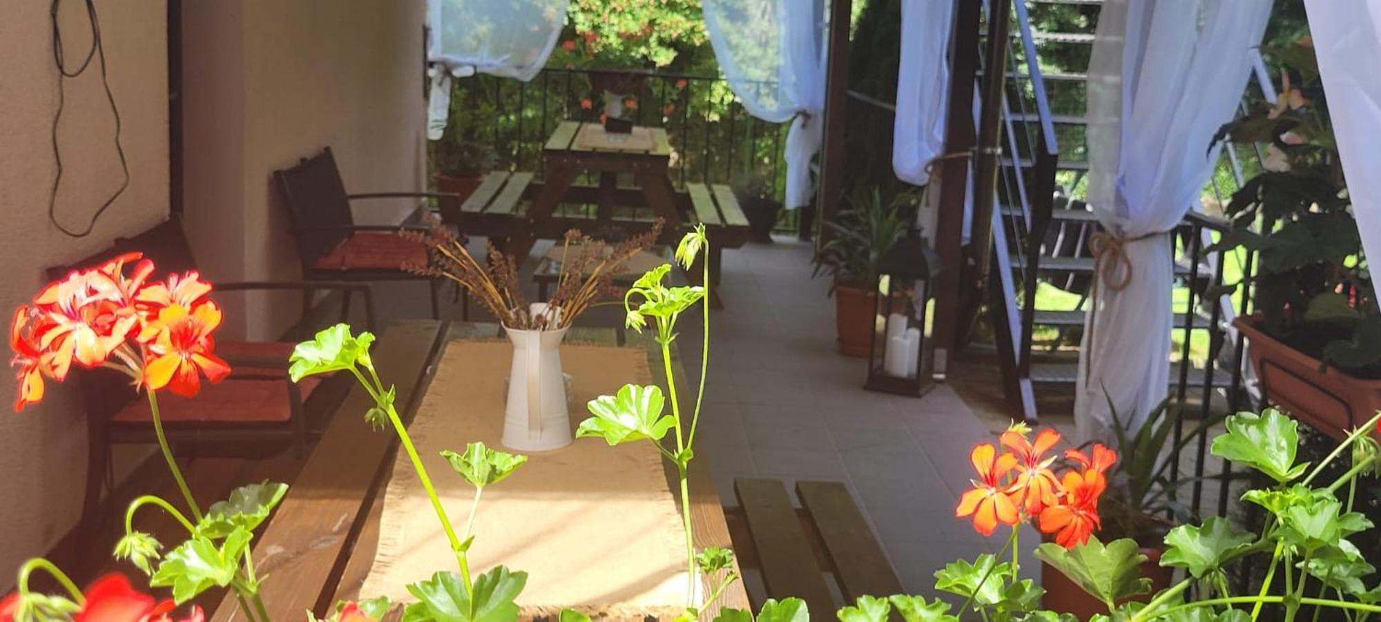 Casa Patryk Hotel Orsova Luaran gambar